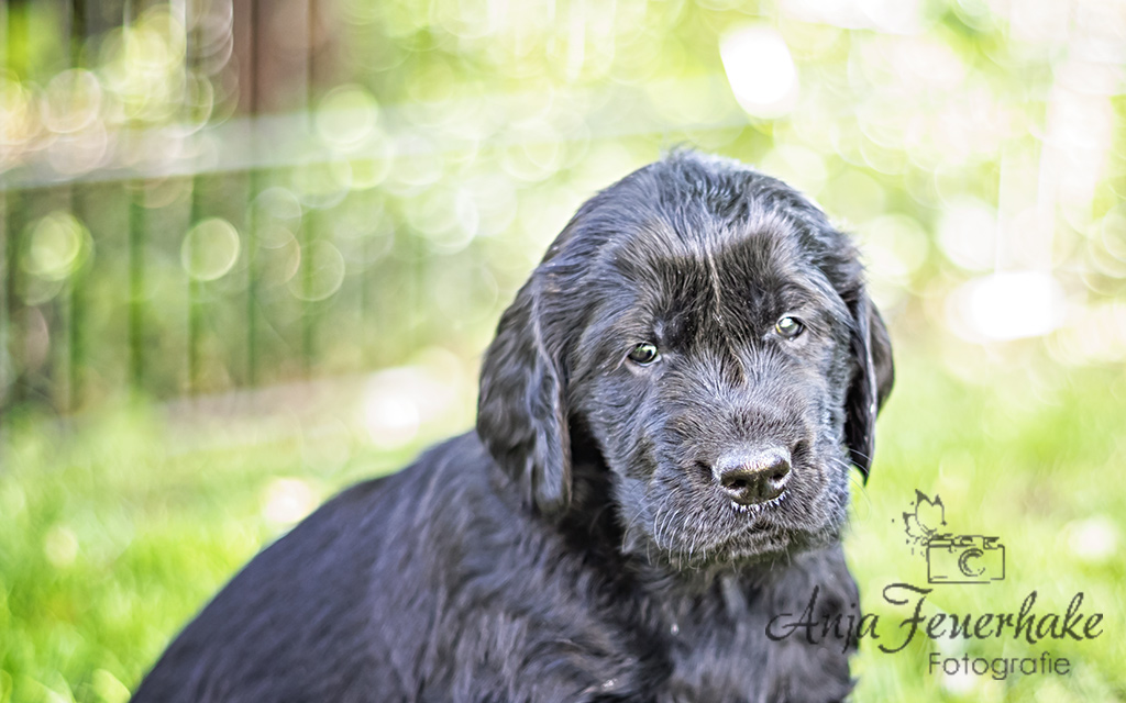 1T4A0043-Bearbeitet_website