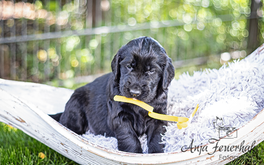 1T4A0156-Bearbeitet_website