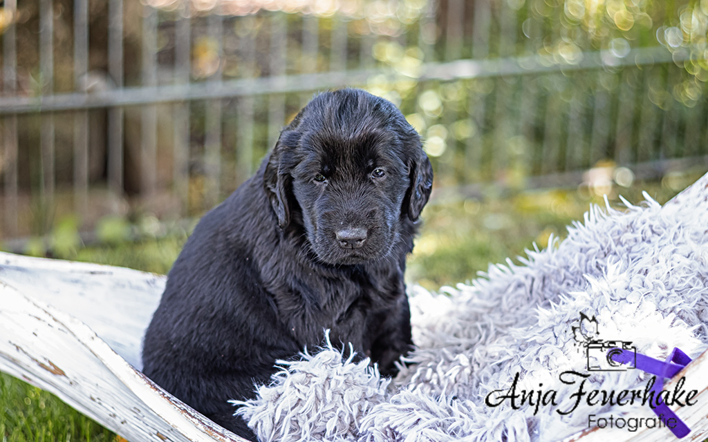 1T4A0176-Bearbeitet_website