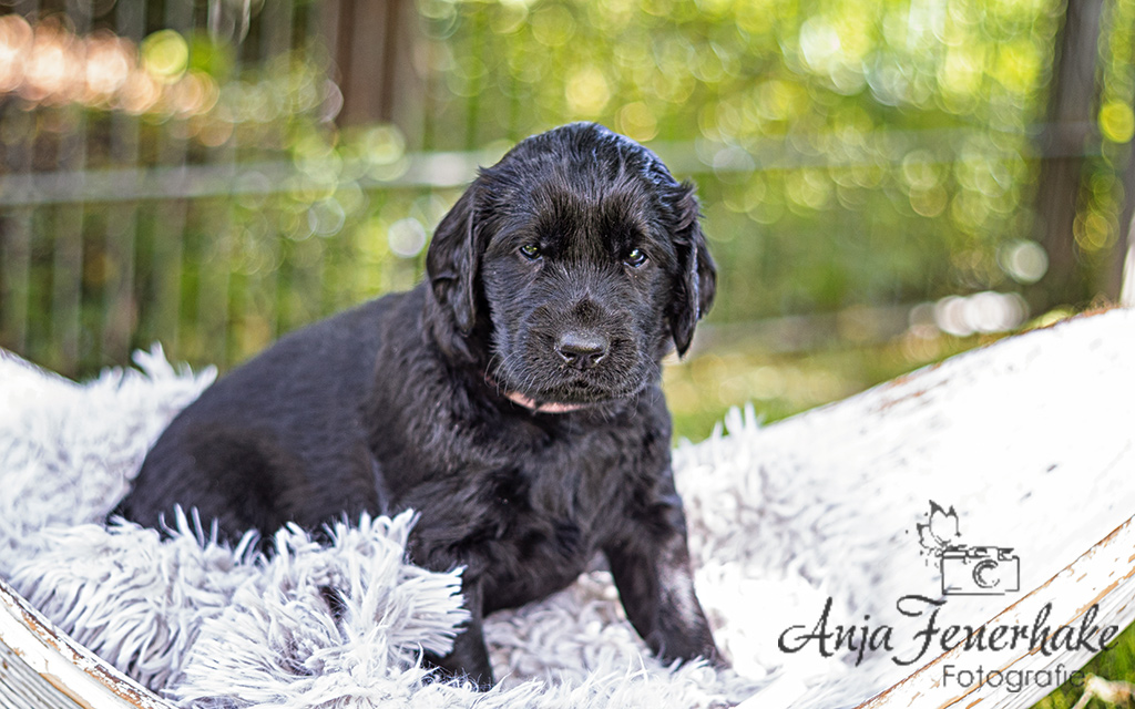 1T4A0227-Bearbeitet_website