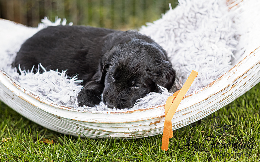 1T4A0248-Bearbeitet_website