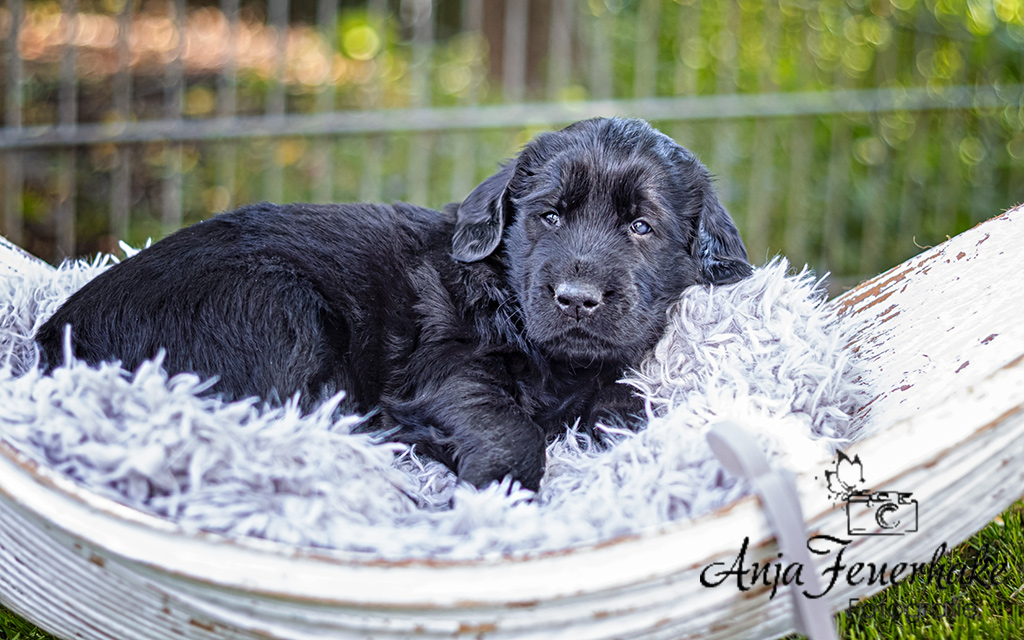 1T4A0259-Bearbeitet_website