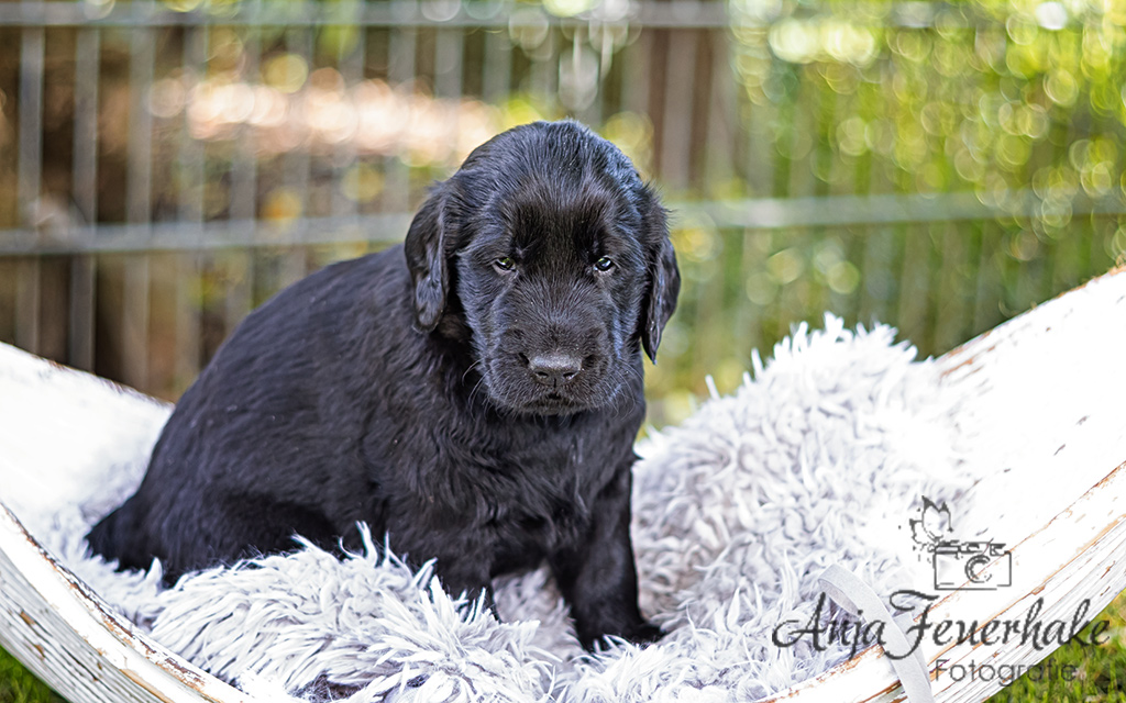 1T4A0265-Bearbeitet_website