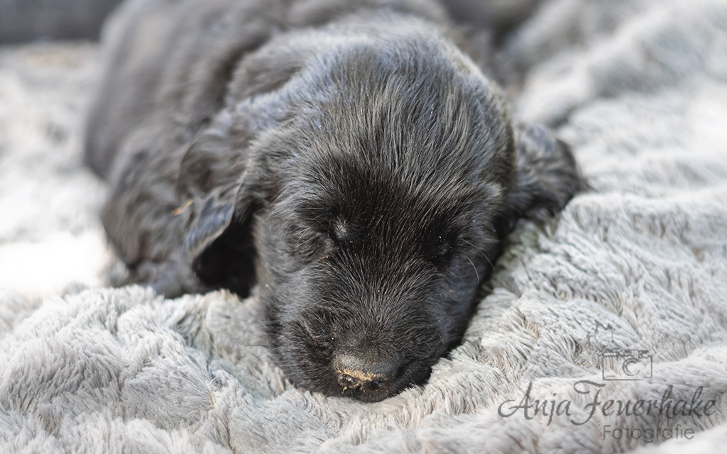 1T4A0274-Bearbeitet_website