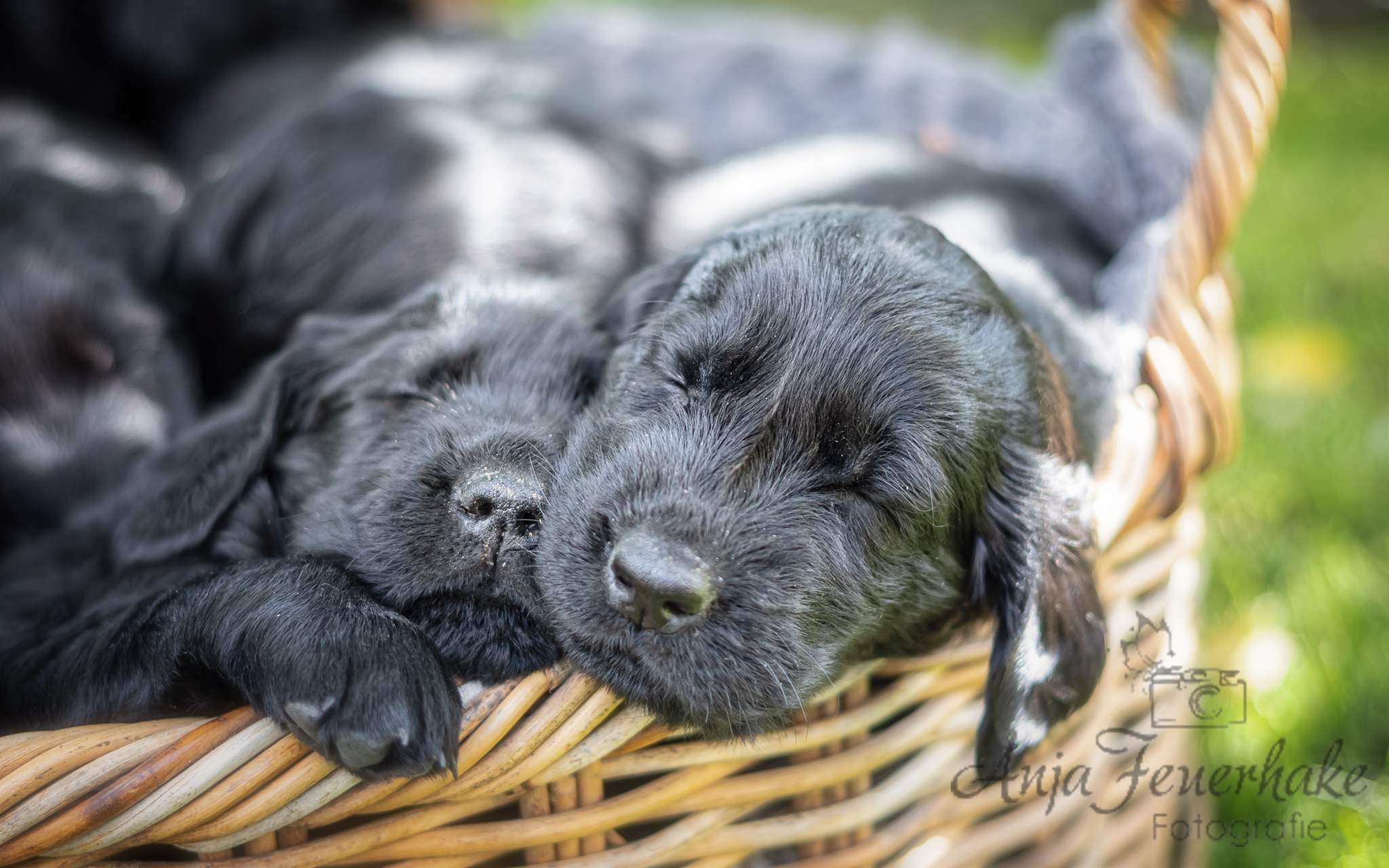 1T4A0310-Bearbeitet_website