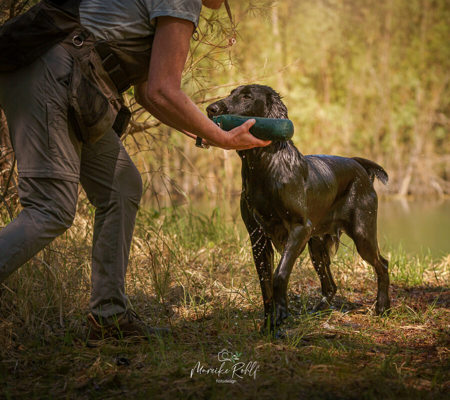 2026-Dogs-Lia-0047301-Bearbeitet-web