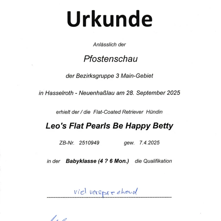Betty_Urkunde_Pfostenschau