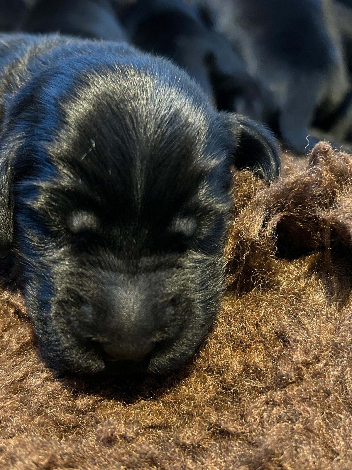 PHOTO-2025-04-14-20-56-19