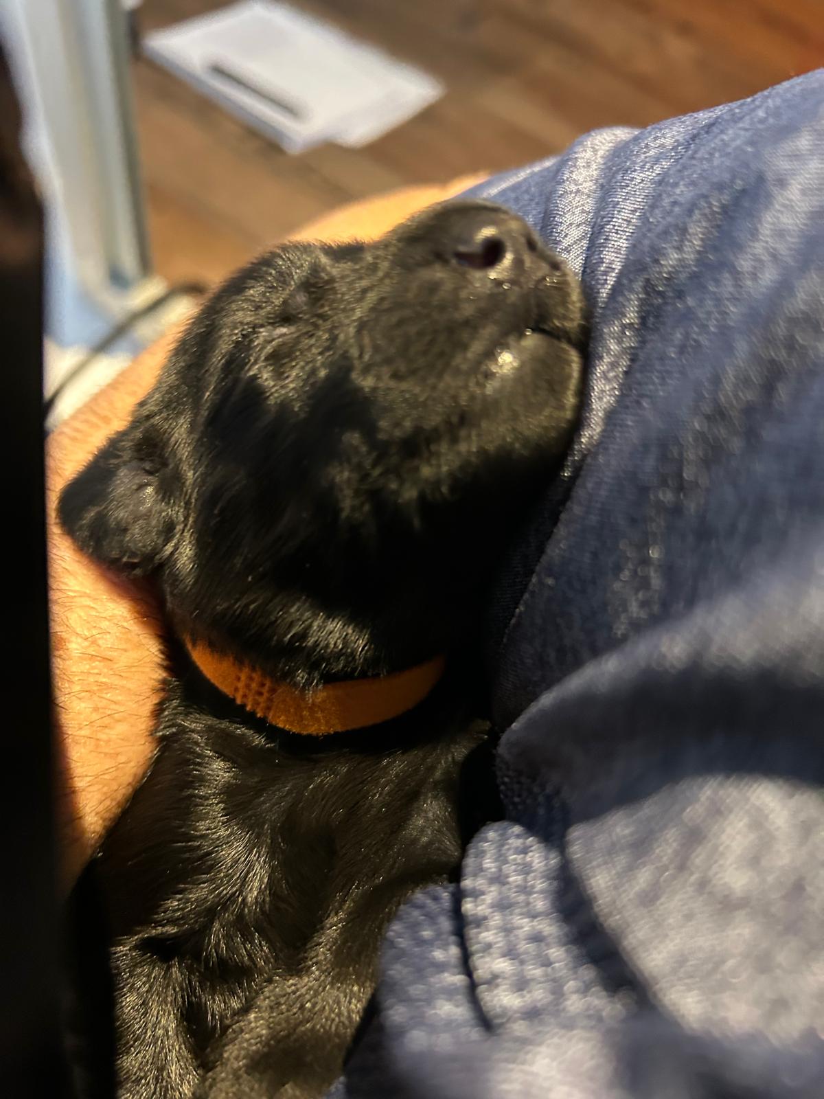 PHOTO-2025-04-14-20-56-19[1]