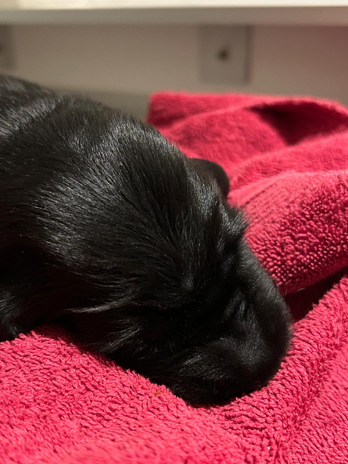 PHOTO-2025-04-19-16-13-22