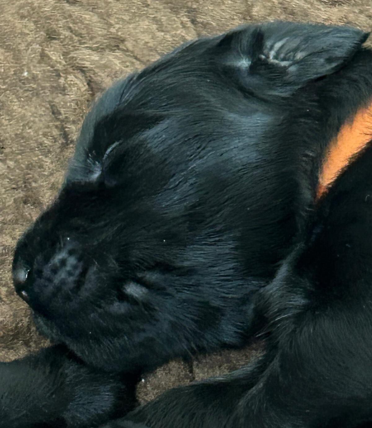 PHOTO-2025-04-19-16-13-22[1]