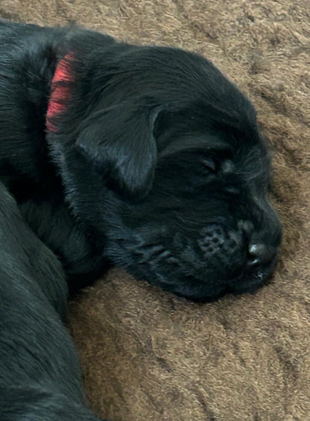 PHOTO-2025-04-19-16-13-22[2]