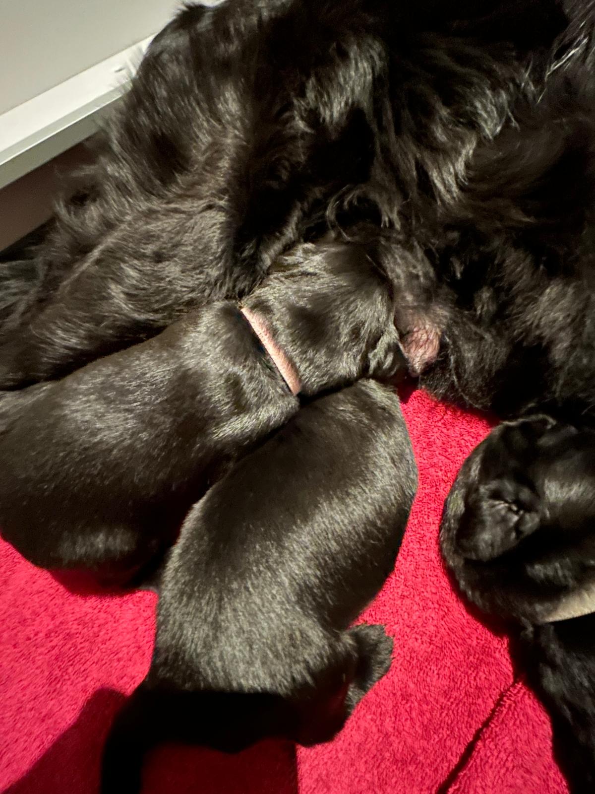 PHOTO-2025-04-19-16-13-22[4]