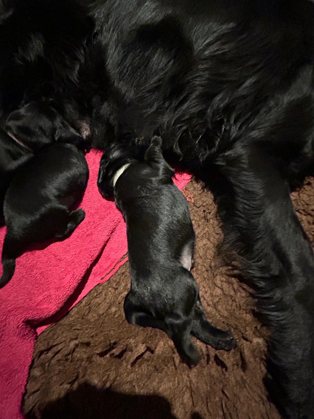 PHOTO-2025-04-19-16-13-22[5]