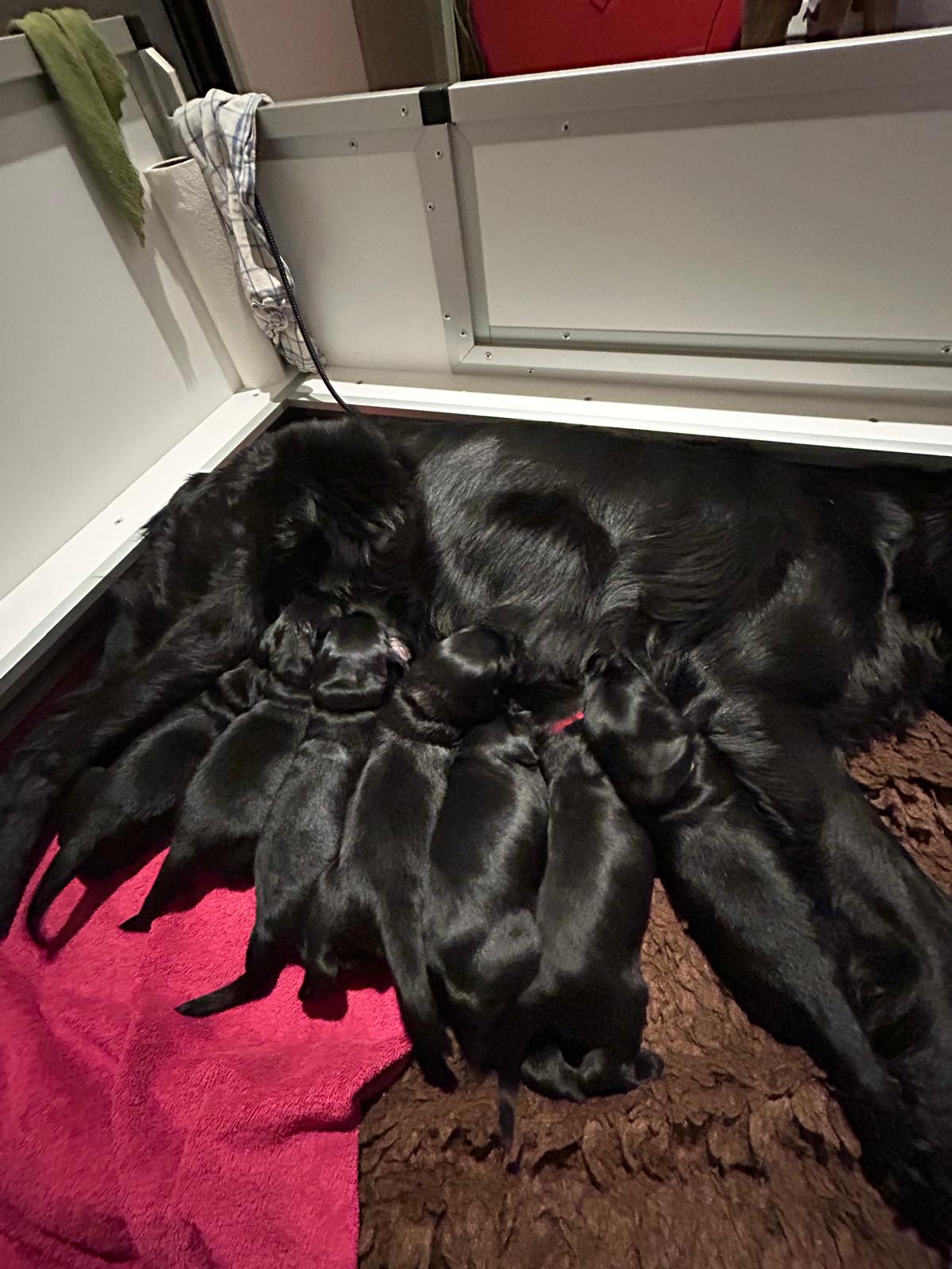 PHOTO-2025-04-19-16-13-22[6]