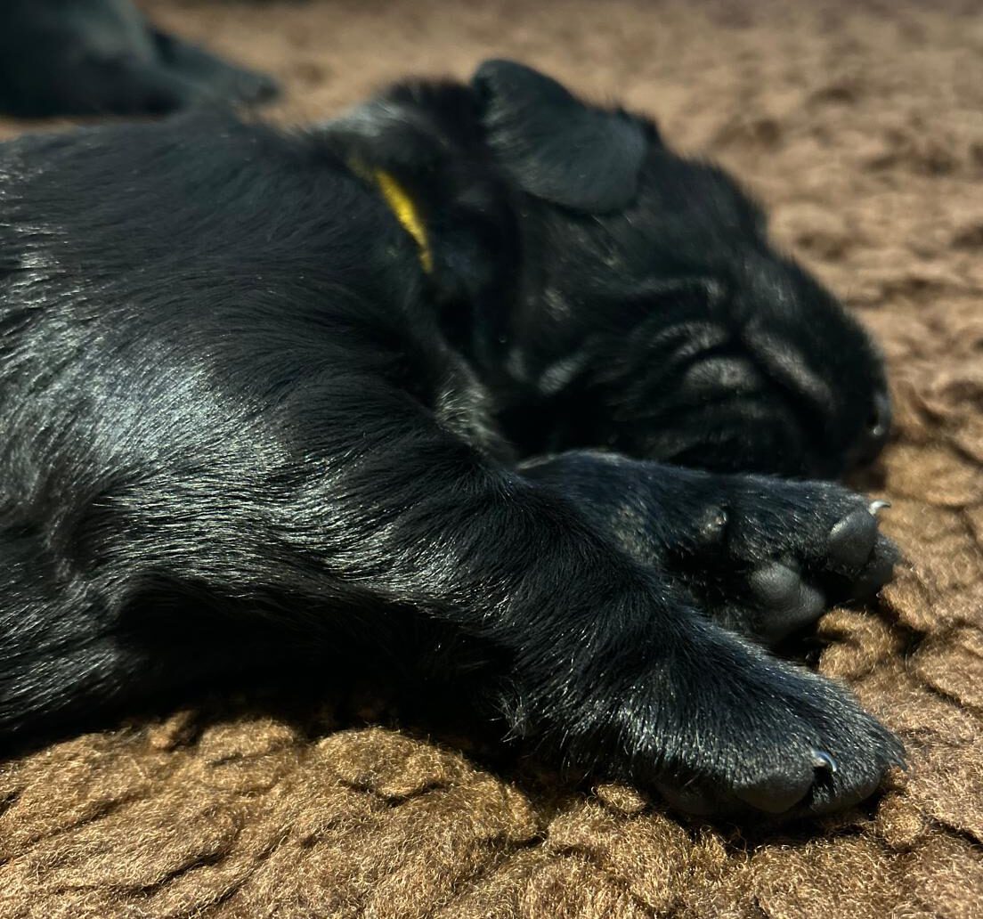 PHOTO-2025-04-24-19-32-50