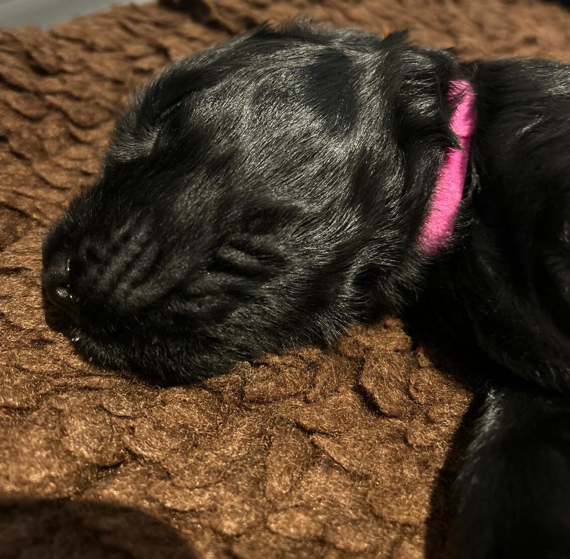 PHOTO-2025-04-24-19-32-50[1]