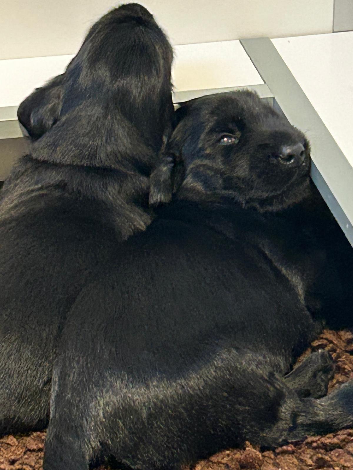 PHOTO-2025-04-24-19-32-50[2]