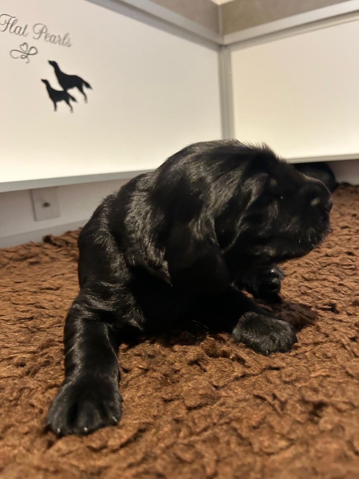 PHOTO-2025-04-24-19-32-50[4]