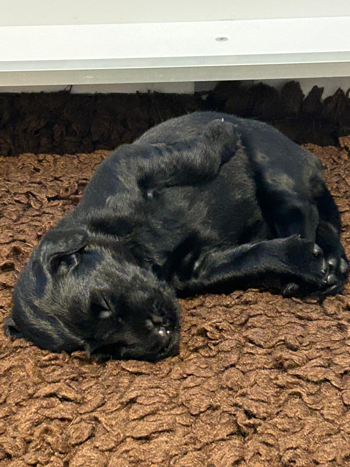 PHOTO-2025-04-24-19-32-50[7]