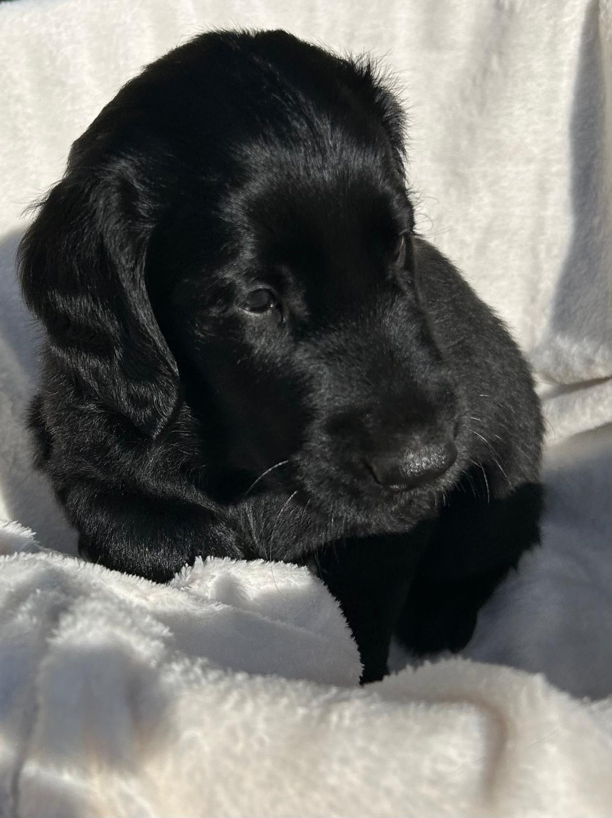 PHOTO-2025-05-18-21-29-32[1]