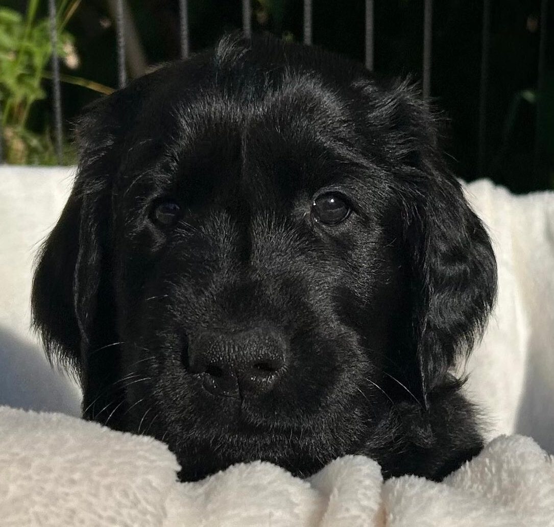 PHOTO-2025-05-18-21-29-32[5]