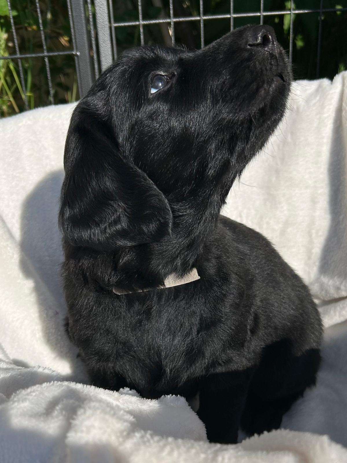 PHOTO-2025-05-19-21-02-21