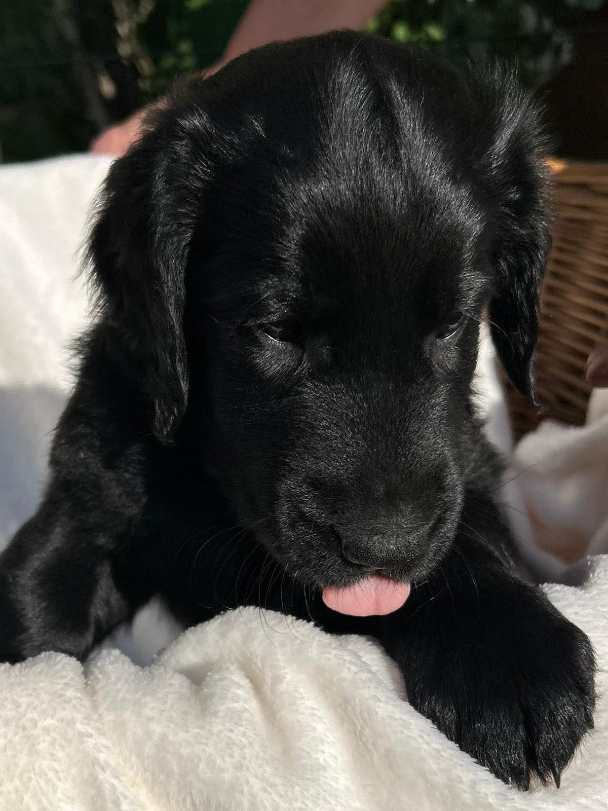 PHOTO-2025-05-19-21-02-21[1]