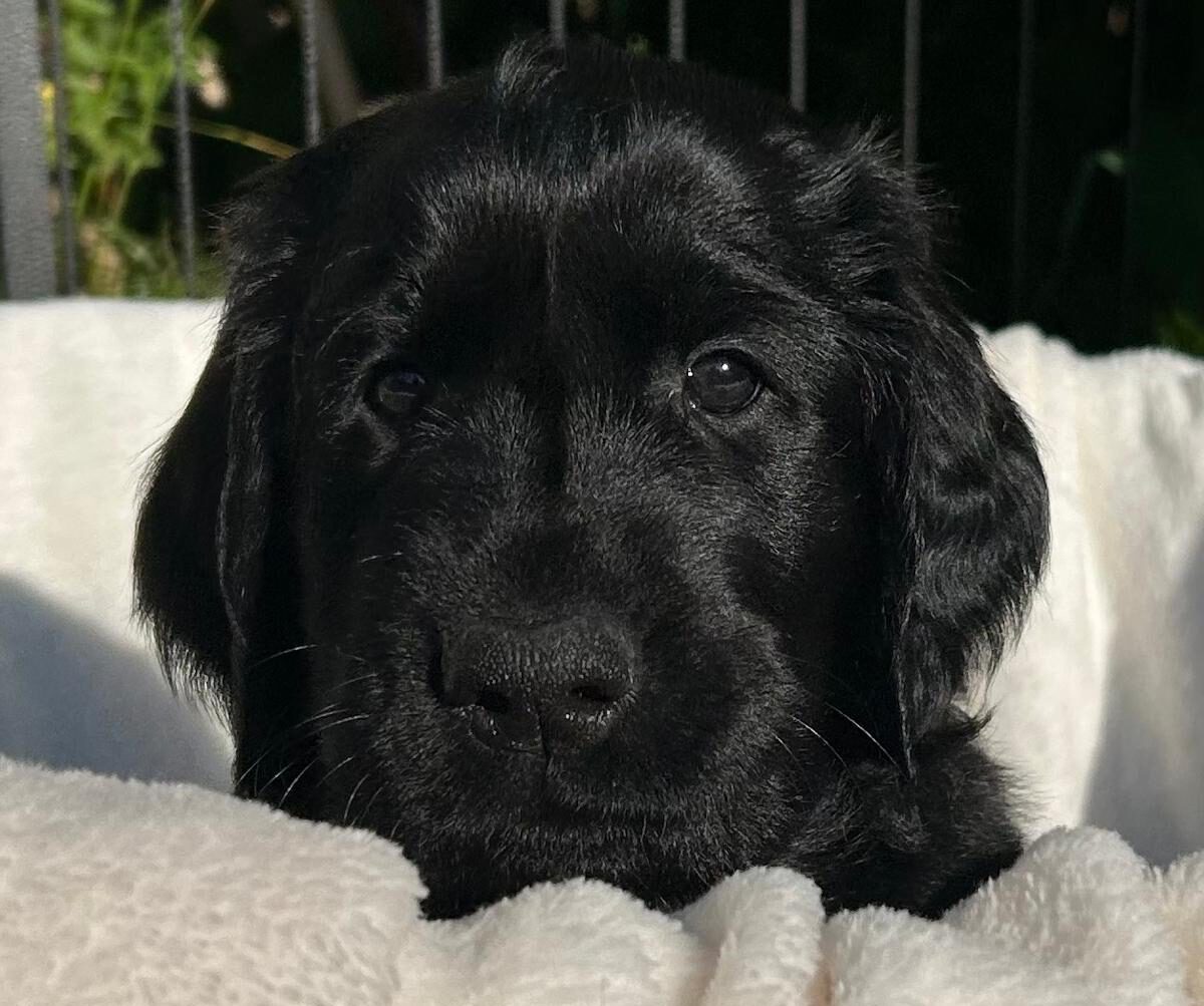 PHOTO-2025-05-19-21-02-21[10]