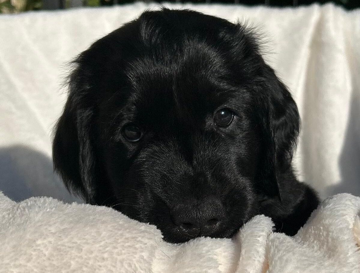 PHOTO-2025-05-19-21-02-21[11]