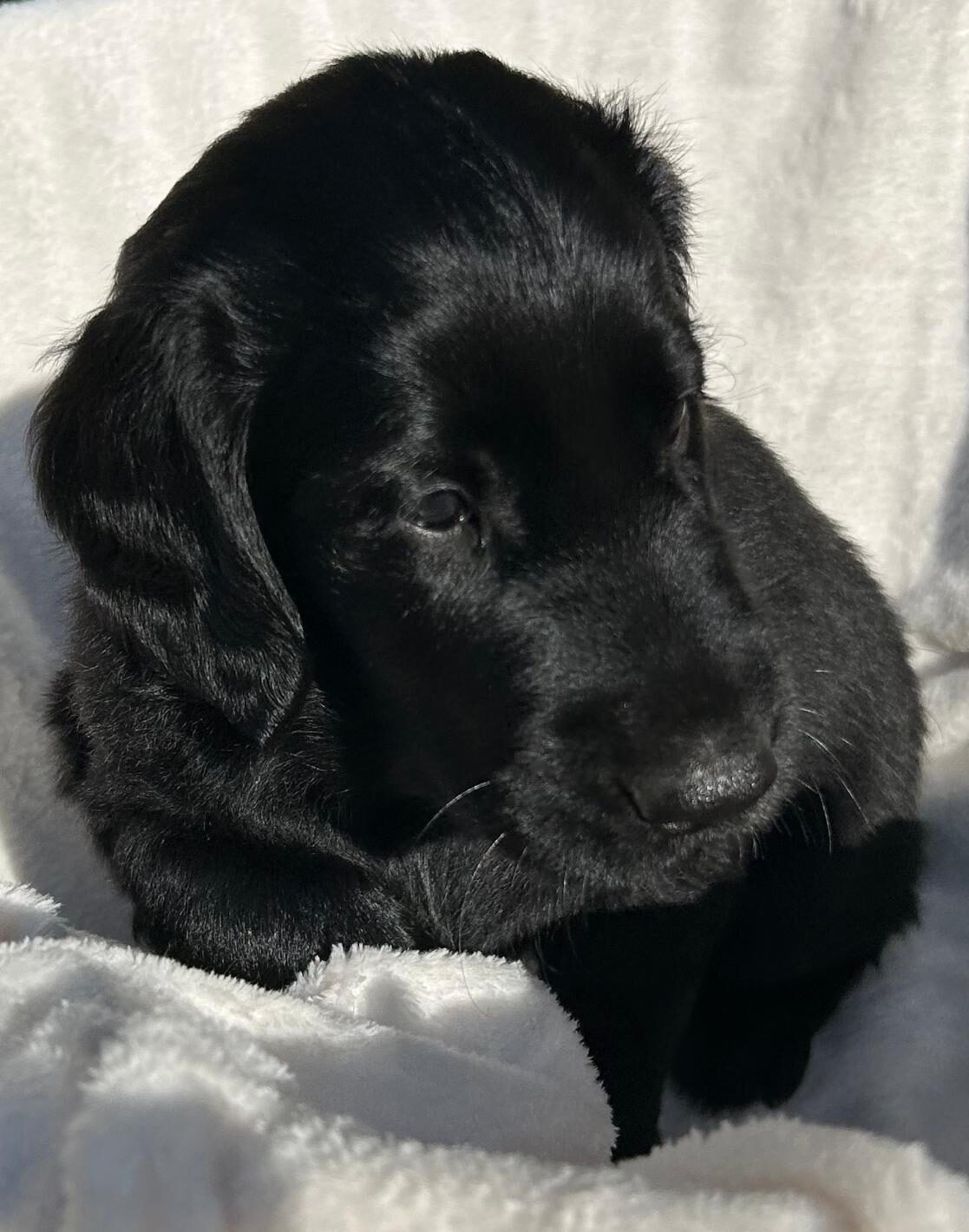 PHOTO-2025-05-19-21-02-21[6]