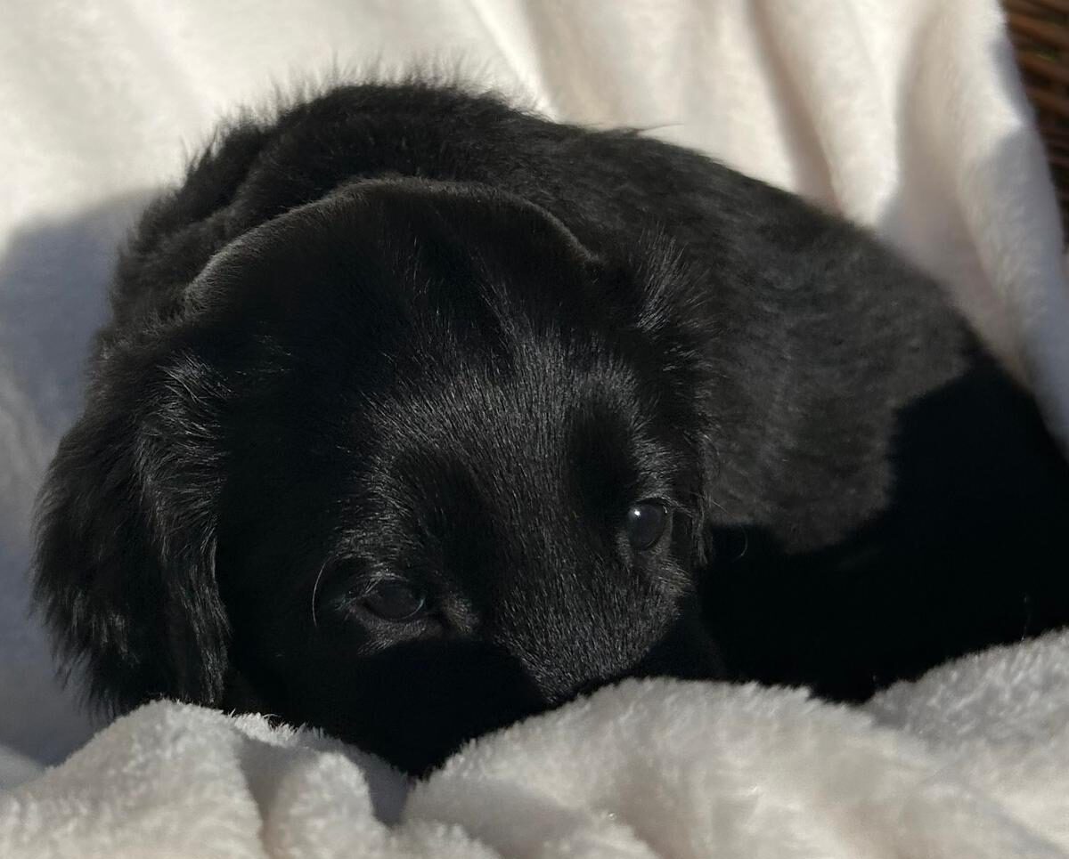 PHOTO-2025-05-19-21-02-21[8]