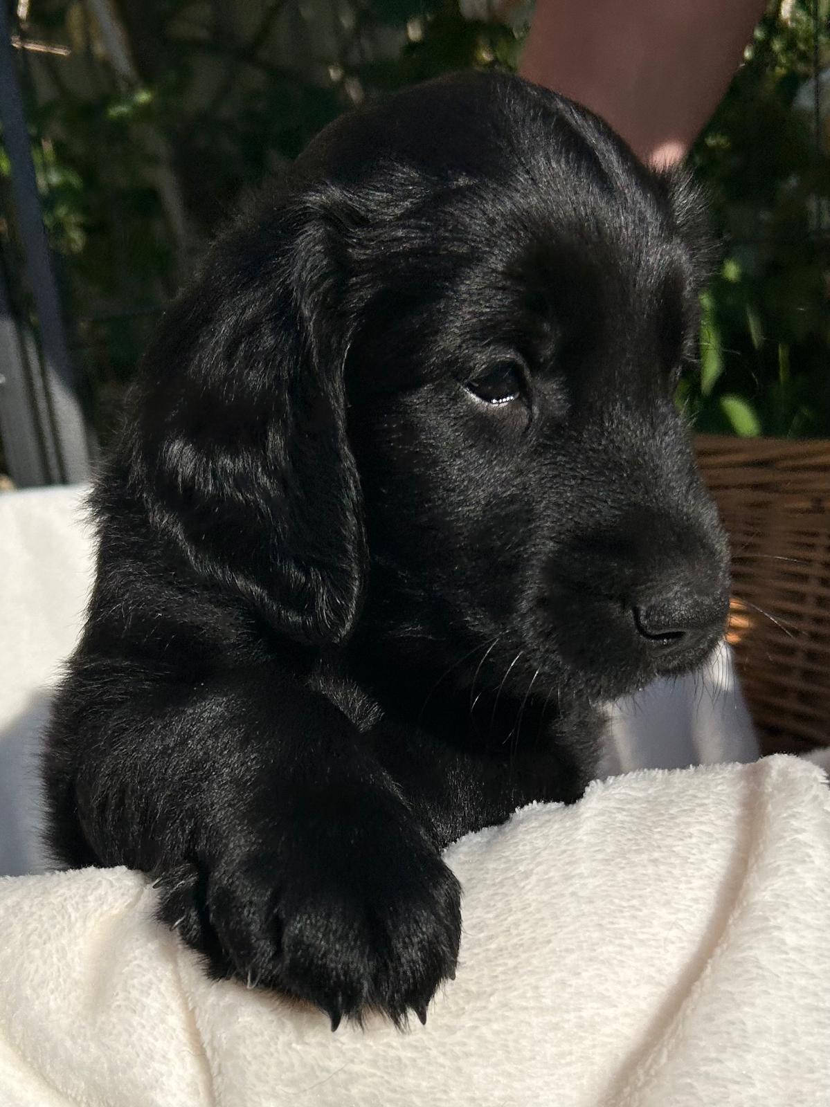 PHOTO-2025-05-19-21-02-21[9]