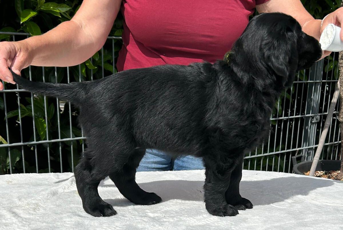 PHOTO-2025-05-25-15-45-36