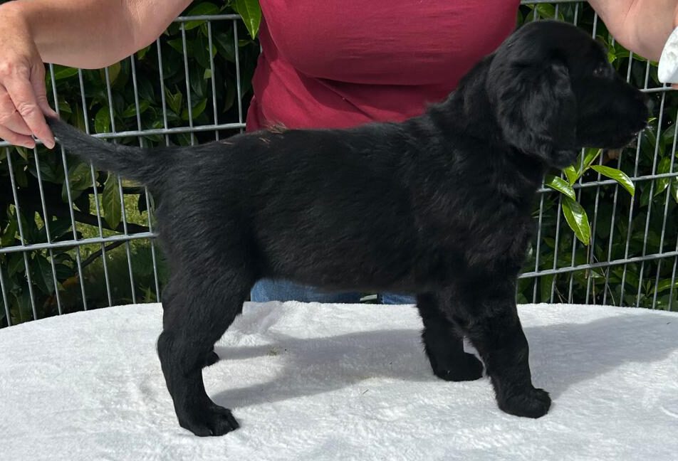 PHOTO-2025-05-25-15-46-20