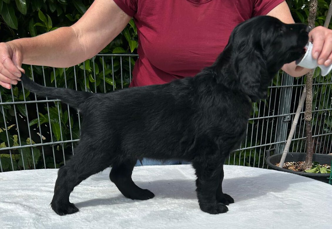 PHOTO-2025-05-25-15-48-18