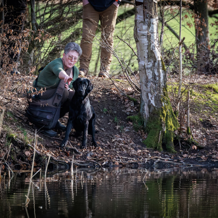 JAS 2026-4
