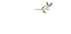 mareike_rohlf_fotodesign